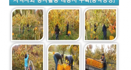 지역사회 공헌 봉사활동