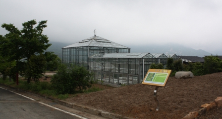 2009 재단소식지용 한방진흥원 약용센터팀 사진