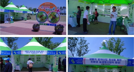 곡성 꼬마잠자리 2011 환경의날 축제 홍보 부스 운영 (6. 3.~6. 5.)