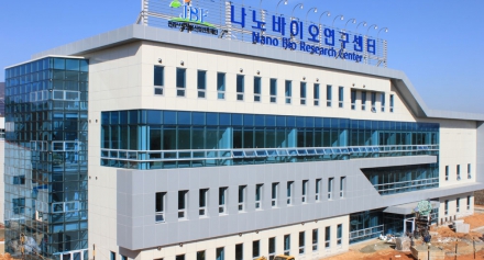 2010년 2월 3일 신축건물 사진