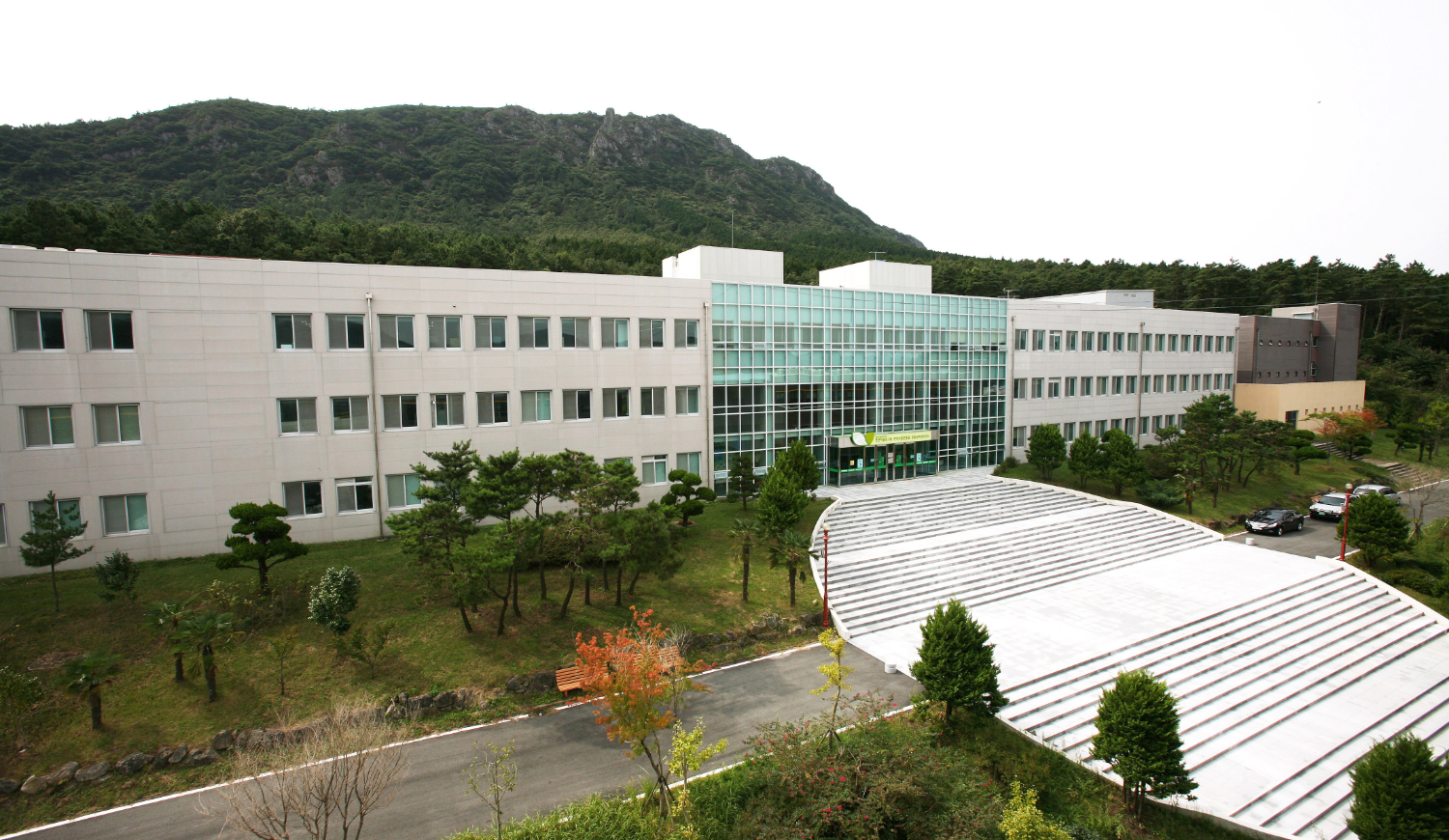 천연센터
